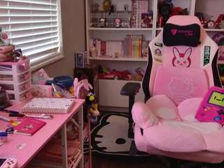 hotpinkcheeto webcam