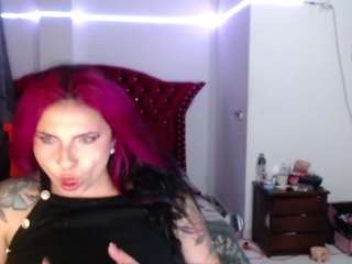 kitty live cam preview