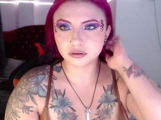 kitty live cam preview