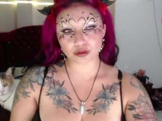 kitty