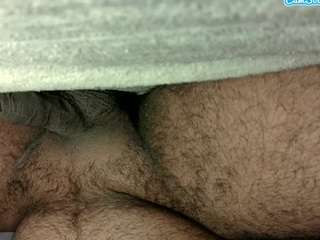 alexcsp