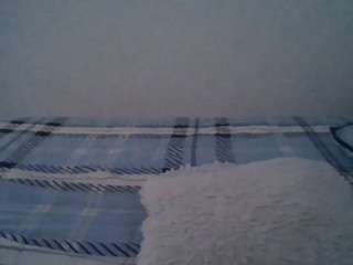 kiimberly live cam preview