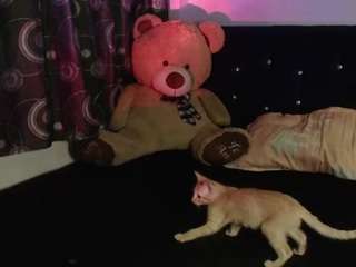 angelique-klane live webcam on Soda Cams