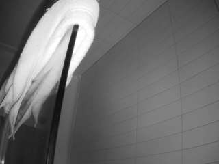 voyeurcam-hazelgrace-01 webcam model