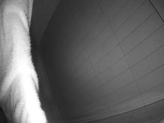 voyeurcam-hazelgrace-01 Live Webcam on CamSoda