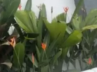 Juliana's Live Sex Cam Show