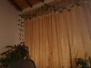 Tulii live cam preview
