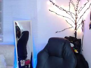 maily-windsor webcam