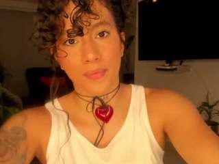 giia webcam