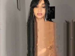 destinnemills webcam