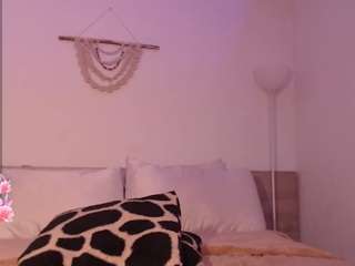 destinnemills webcam