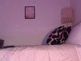 destinnemills