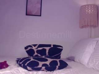 destinnemills