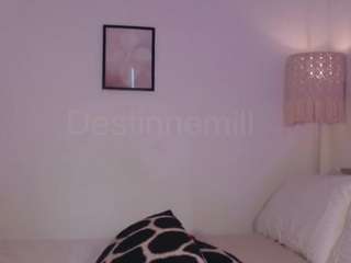 destinnemills