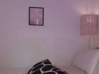 destinnemills