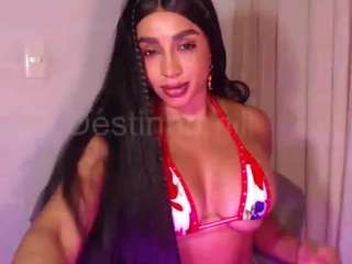 destinnemills
