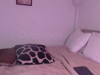destinnemills