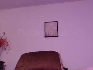 destinnemills
