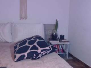 destinnemills