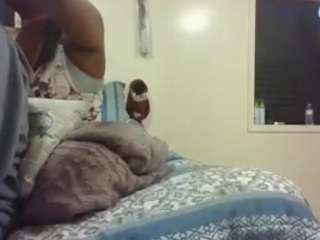 antonettekiki webcam