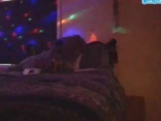 antonettekiki webcam