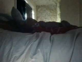 le modèle antonettekiki est en webcam porno dans un show sur le site camsoda, il possède les tags suivants: ass,handjob,toys,tattoos,spank,pussy,orgasm,ohmibod,masturbation,lush,asshole,lovense,flashing,fingers,fetish,feet,dildo,cum,brown eyes,blowjob