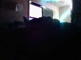 antonettekiki live webcam show