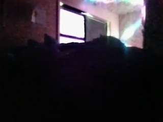 antonettekiki live webcam show