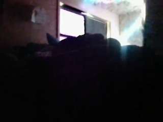 antonettekiki's live room
