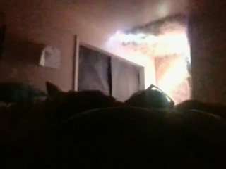 antonettekiki live webcam show