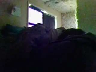 antonettekiki live webcam show