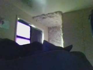 antonettekiki live webcam show