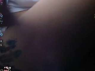kaarlaa webcam