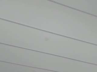 tiffanyhouston Live Webcam on CamSoda