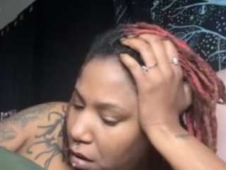 disobedientpet webcam