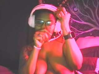 disobedientpet webcam