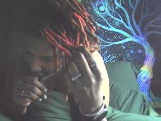 disobedientpet webcam