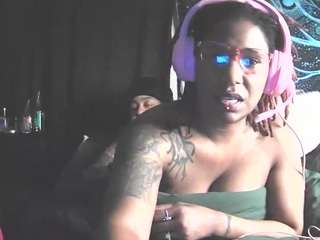 disobedientpet webcam