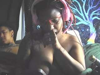 disobedientpet webcam