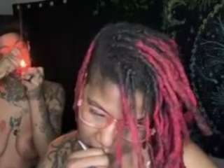 disobedientpet webcam