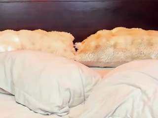 christynaross live cam
