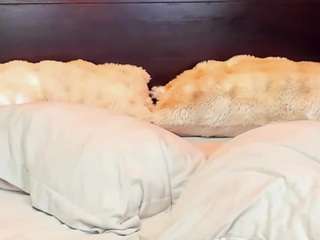 christynaross live cam