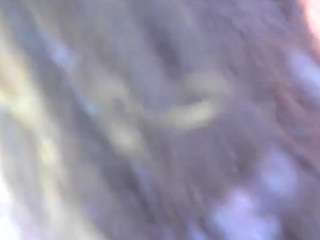 ashleygreene Live Webcam on CamSoda