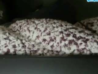 Live webcam model subdoll on Soda Cams