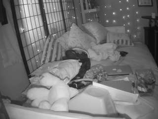 voyeurcam-sheenarose-01