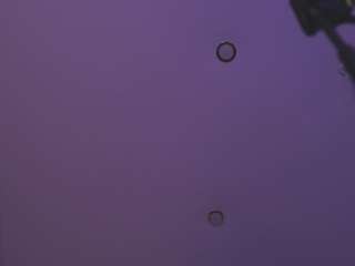 Live webcam model dakotablare on Soda Cams