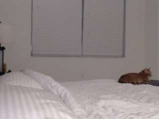 jazminlareina Live Webcam on CamSoda