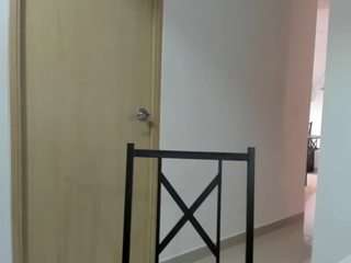 alexyferrer webcam