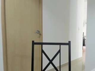 alexyferrer webcam