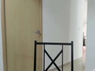 alexyferrer webcam
